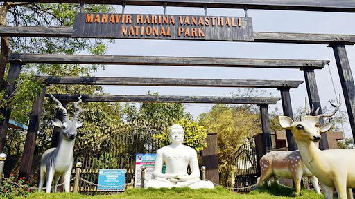 photo of Mahavir Harina Vanasthali National Park